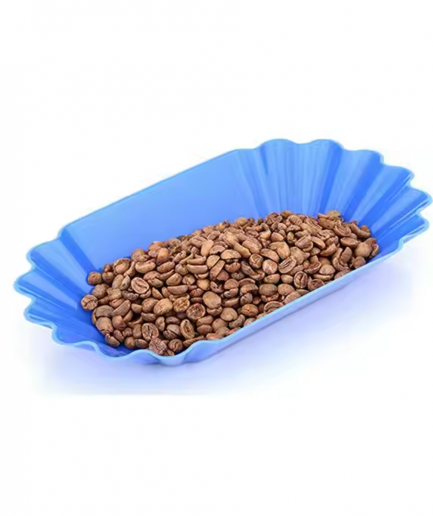 Bean Bliss Oval Coffee Cupping Sample Trays – Professional Tasting Accessories
